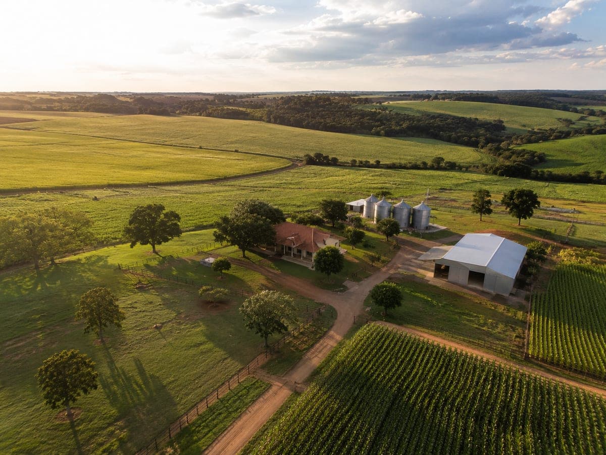 Propriedade rural produtiva — Avaliação Rural